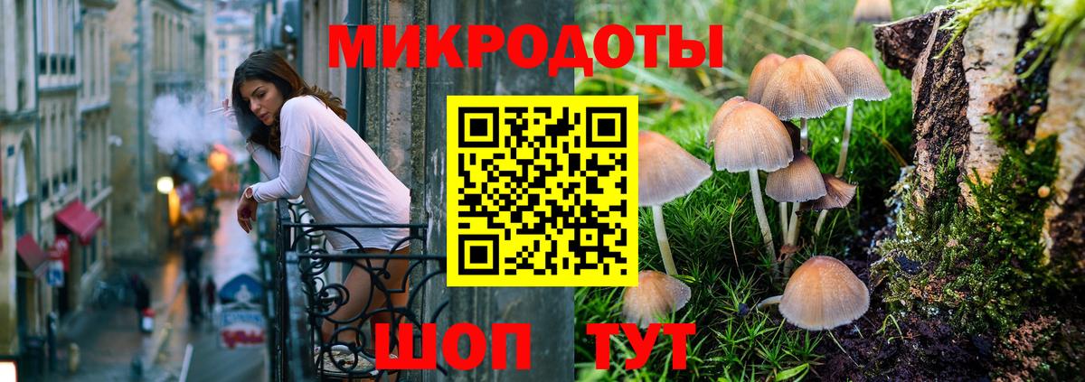 Псилоцибиновые грибы Psilocybe Мыски